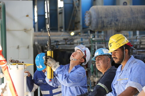 技术服务扬帆出海 兰州石化叩开非洲市场大门